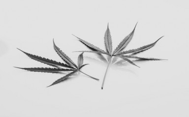 Лечение наркомании в Гае